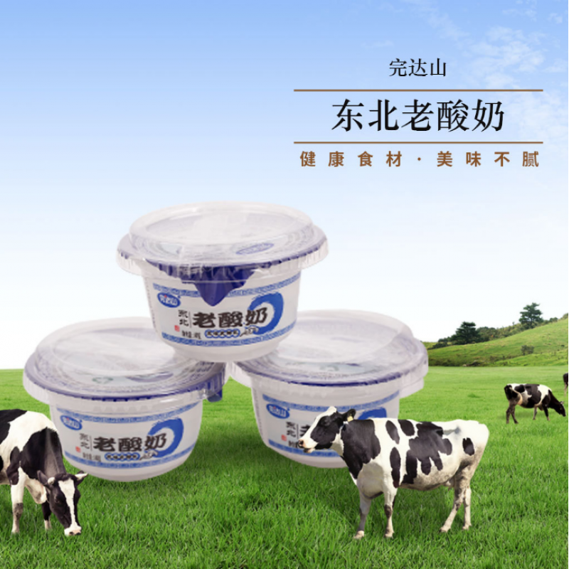 完达山酸奶完达山东北老酸奶碗装酸牛乳益生菌发酵乳酸奶12盒一箱好 2