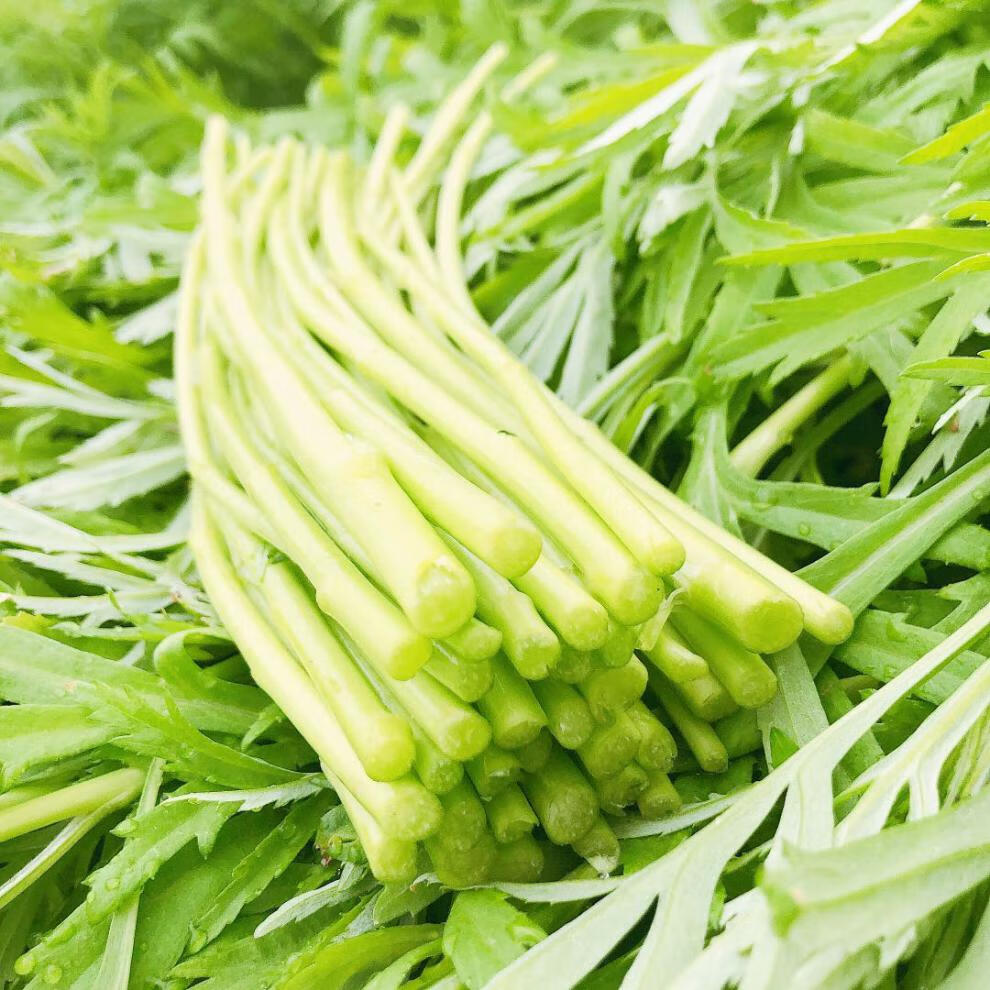 【去叶去根】南京当季新鲜芦蒿蔬菜藜蒿农家自种蔬菜 1500g【图片