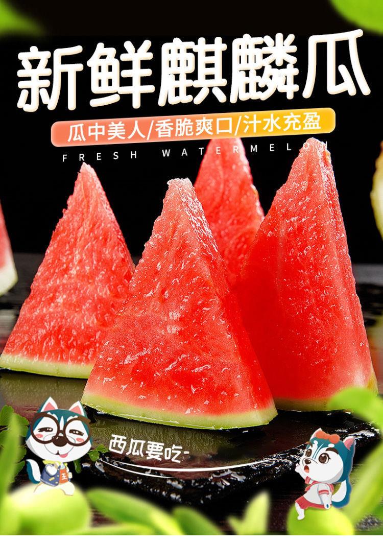 【京鲜配送】现摘现发海南8424麒麟西瓜5斤应季新鲜孕妇水果沙瓤皮薄