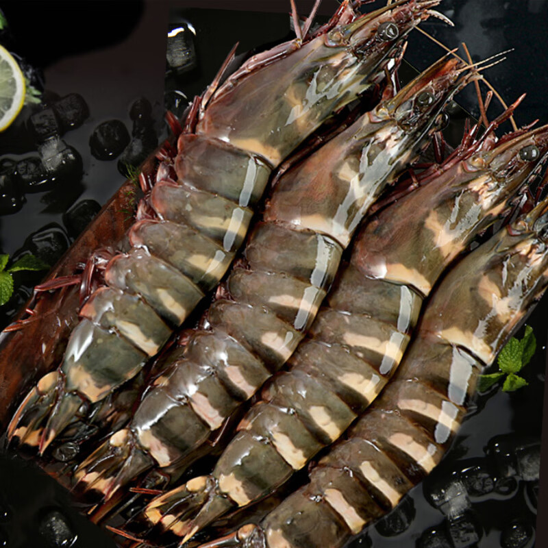 禧客鲜 虎虾新鲜黑大虾鲜活冷冻特大草虾竹节老虎巨大海鲜水产小吃