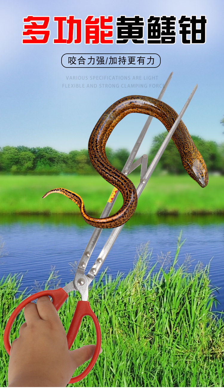 赶海夹子防侧滑泥鳅夹黄鳝夹长鱼夹螃蟹夹子烧烤赶海加厚防滑鳝鱼抓鱼
