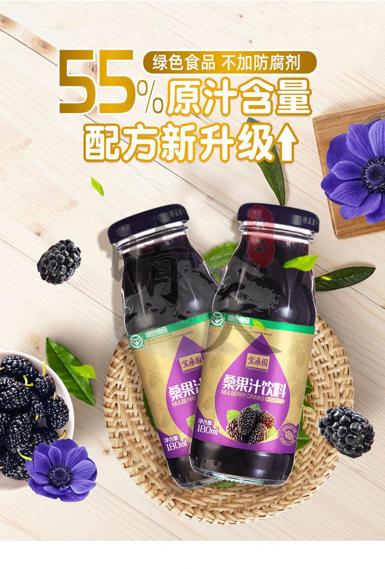 宝桑园桑果汁饮料 12瓶 广东农科院桑葚汁果汁55%绿色食品 12瓶整箱装