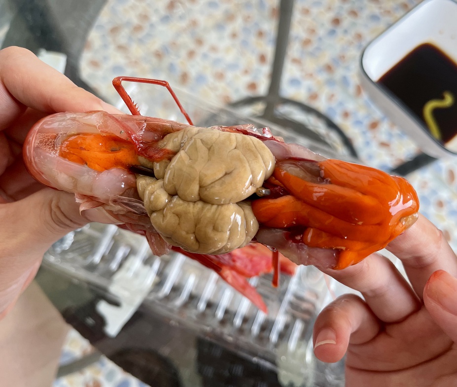 红魔虾特大鲜活刺身级低温甜虾非莫桑比克西班牙甜虾刺身生吃海鲜500g