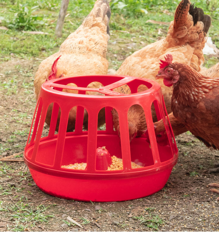 喂鸡食槽养鸡神器鸡笼喂食器养殖设备饲料桶自动喂鹅鸭喂鸡盆家用