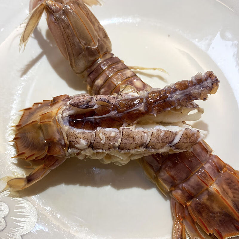 品高皮皮虾舟山鲜活熟冻虾爬子虾姑虾婆懒尿虾富贵虾特大海虾海鲜水产