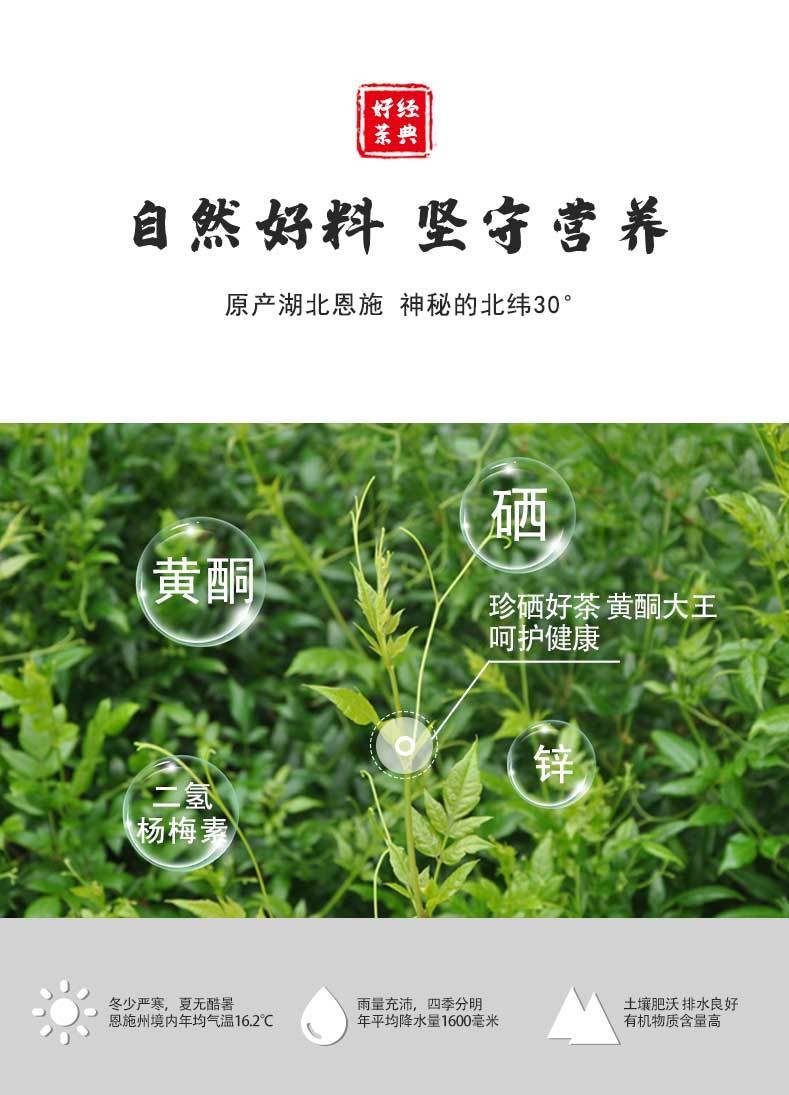 藤茶霉茶散茶罐装 龙须藤茶500g/共5袋 图片 价格 品牌 报价