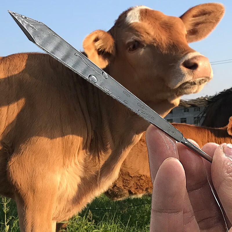 巧克力色 牛鼻打孔钳【图片 价格 品牌 报价】-京东