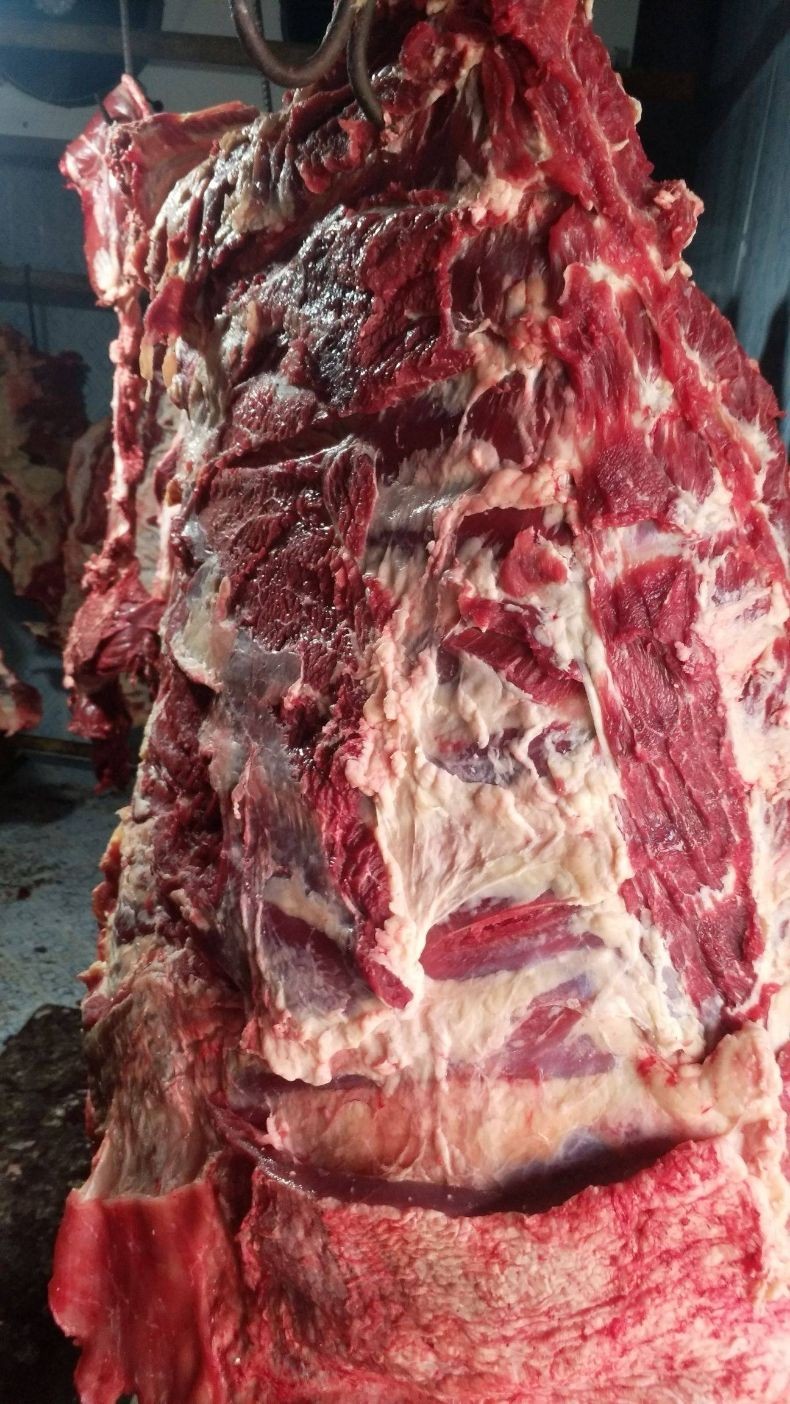 棠鲜生现杀新鲜黄牛胸骨牛排骨带肉黄牛肉排骨牛肋排骨牛仔骨炖汤火锅