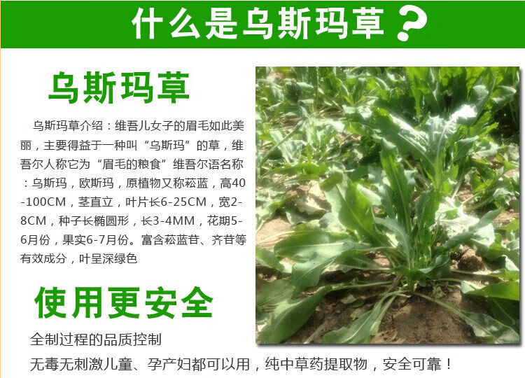 新疆乌斯玛草粉乌斯曼生眉笔粉奥斯曼纯草粉浆棒发际线长增液铝盒装草