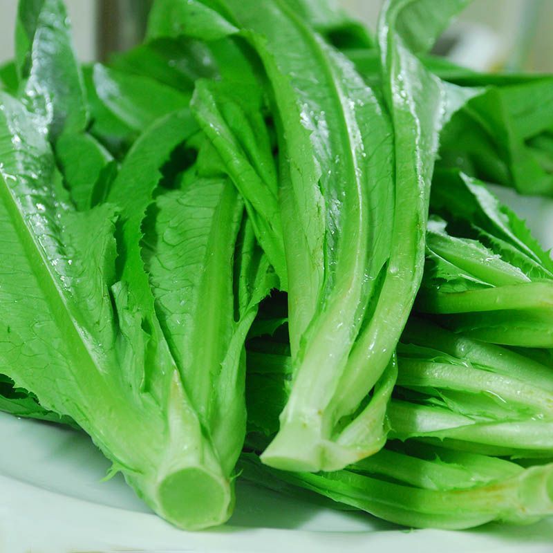 新鲜油麦菜蔬菜云南当季农家自种可生吃高原蔬菜绿叶菜坏果包赔 3斤