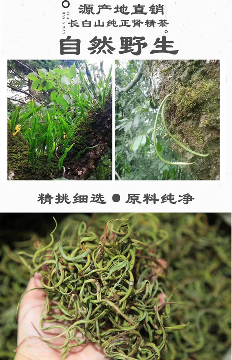 5折萃隱長白山腎精茶養生茶野生腎精草茶50g罐裝化