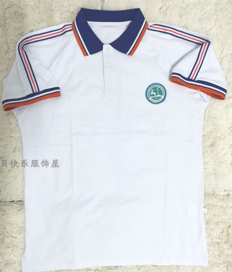 东莞市清溪镇清溪中学校服夏上衣短裤秋衣裤子冬季外套套装学院 夏