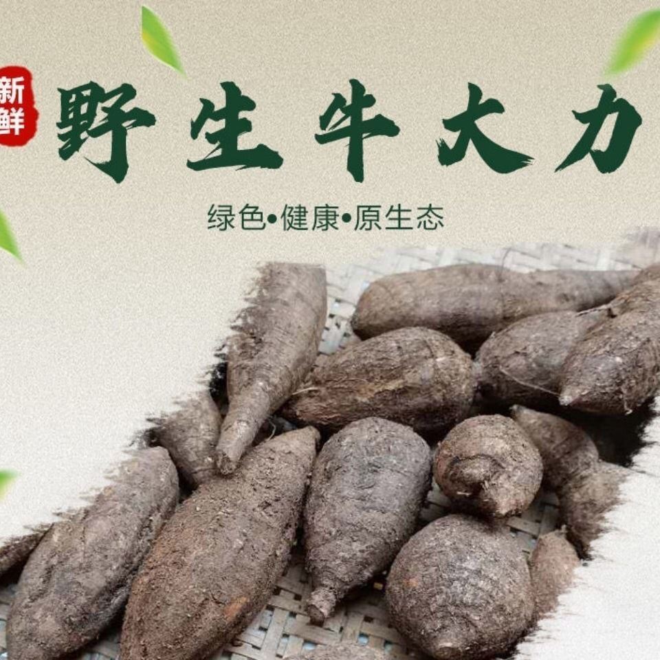 牛大力粉广西巴马特级牛大力根野生干货非纯中药材保健养生500gm84