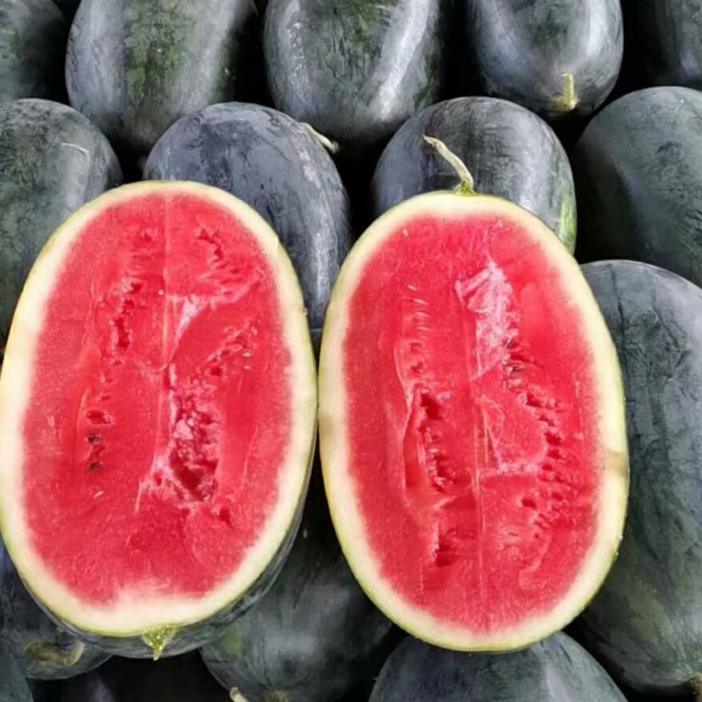 新鲜西瓜 应季水果黑美人麒麟西瓜 整箱水果随心旺盛 一个装【2-4斤】
