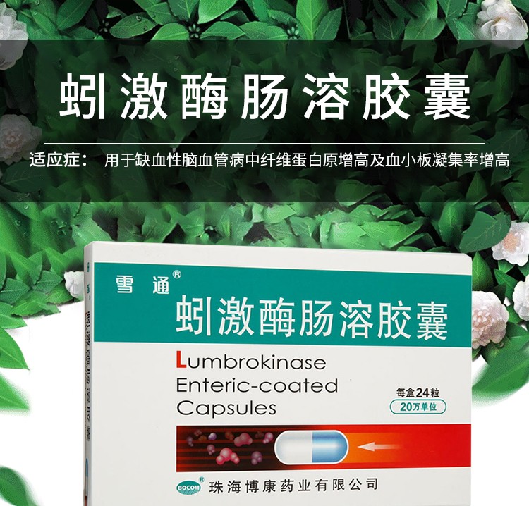 雪通 蚓激酶肠溶胶囊 24粒 1盒【图片 价格 品牌 报价】-京东