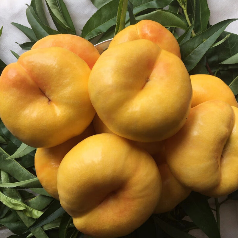 黄油蟠桃新鲜水果黄心桃蒙阴蜜脆桃当季扁桃子黄肉5斤