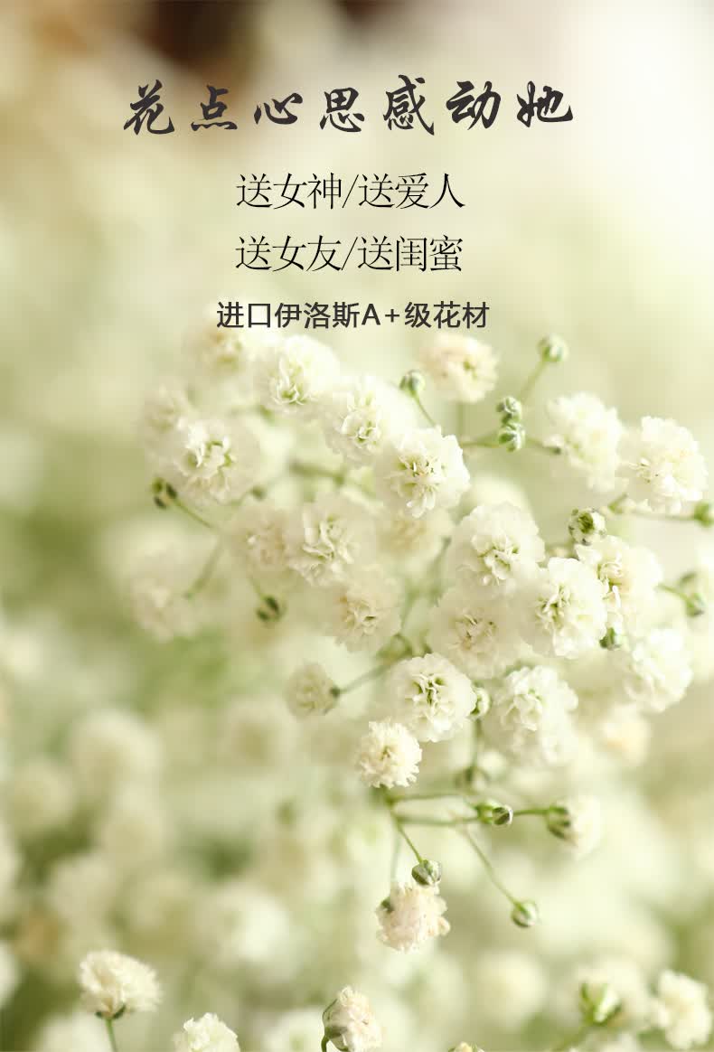 满天星干花发光花束永生花大束天情人节送女朋友闺蜜生日礼物网红蓝色