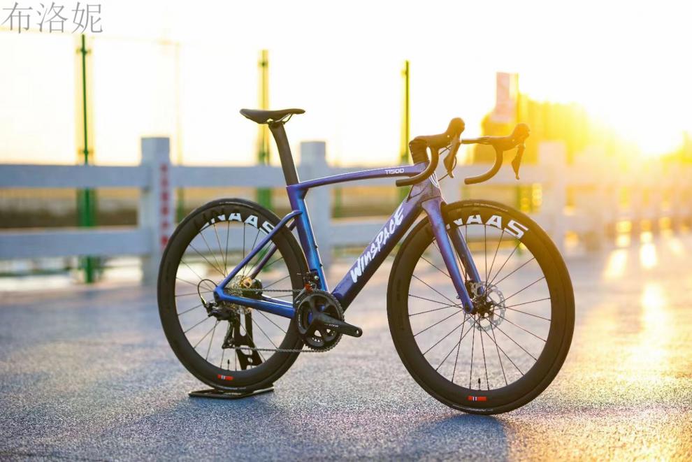 银贝斯公路车d 银贝斯公路碟刹 碳纤维车架组 全内走 可选配一体把 t