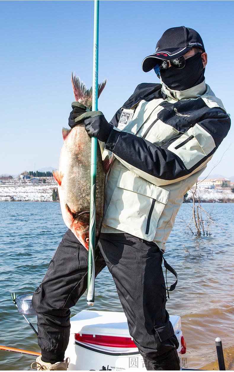 細爵 武漢天元鄧剛浪尖逍遙一擊釣魚竿手杆漁具超輕超硬28調19調鯉