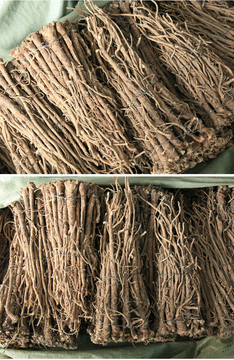 长白山黄芪条散装野生黄芪500g北芪大号黄芪大量无硫精选 黄苓泡水党