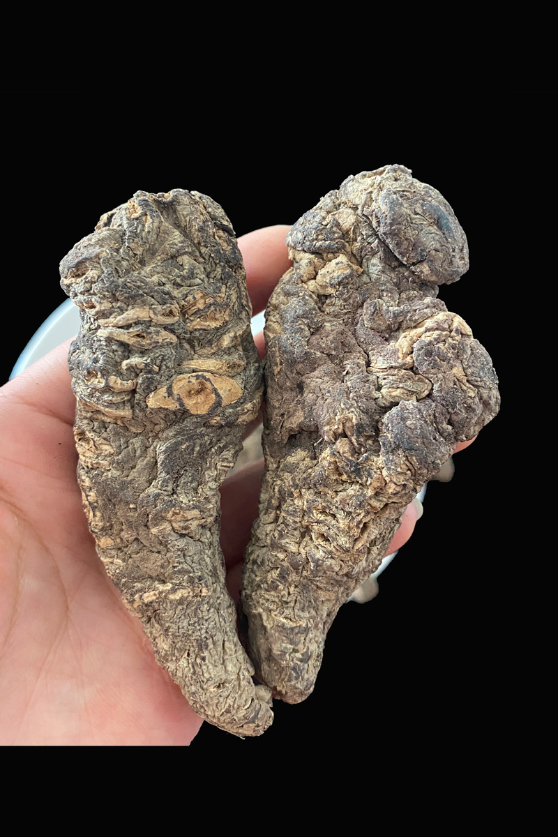 伟博生地黄正宗生地黄500g中药材地黄非熟地搭麦冬滋补喝茶煲汤【图片