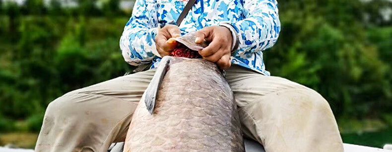 2022新款北溟鱼鱼竿手杆超轻10米超硬鱼杆钓鱼竿手竿台钓竿品牌大物鲤