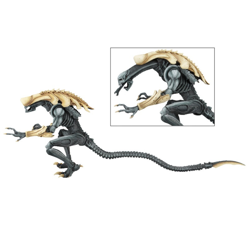 neca 犀牛异形 kenner致敬版 avp 契约异形 7寸可动人偶模型 2波蓝