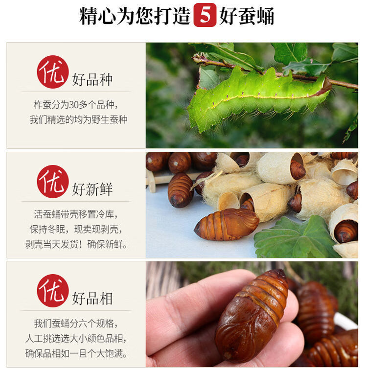 0kg店铺:庆冬食品专营店商品编号:10050835786888商品名称:5折 蝉蛹