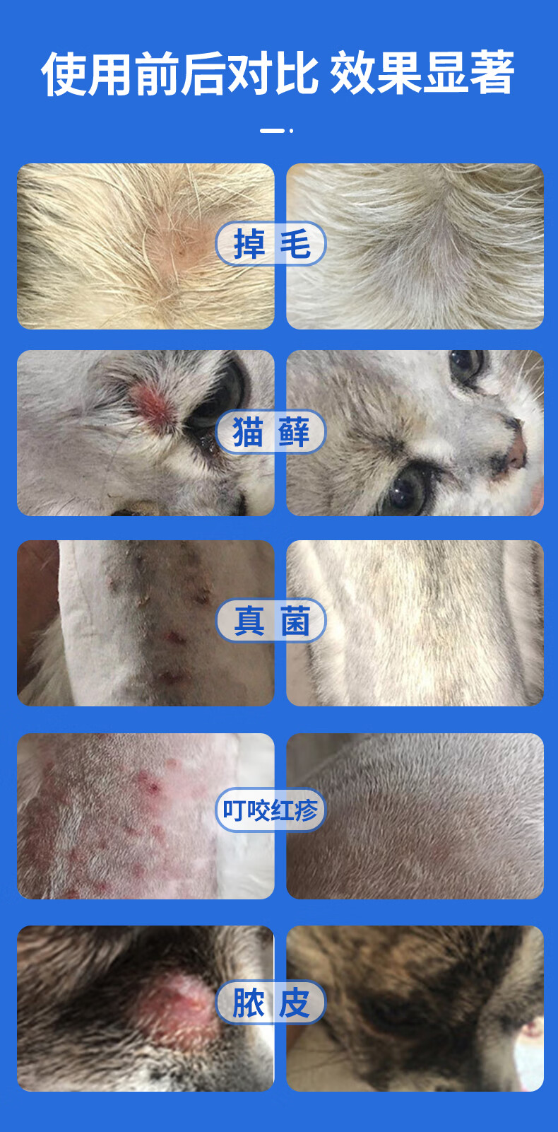 伊曲康唑液体猫癣藓狗癣抗真外用药马拉色感染宠物皮肤病脓皮【图片