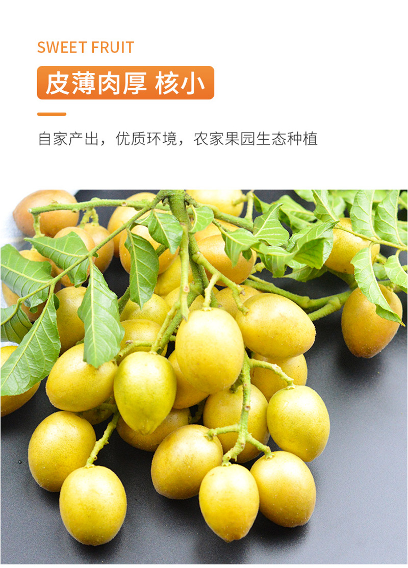 2022头茬a级大果鸡心黄皮新鲜冰糖黄皮果无核黄皮弹子现摘应季水果