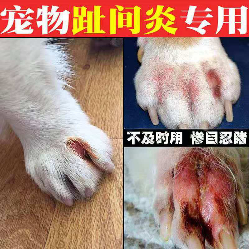 适用于趾间炎药犬猫通用脚趾炎趾缝红肿溃烂狗脚发炎宠物趾间炎喷剂
