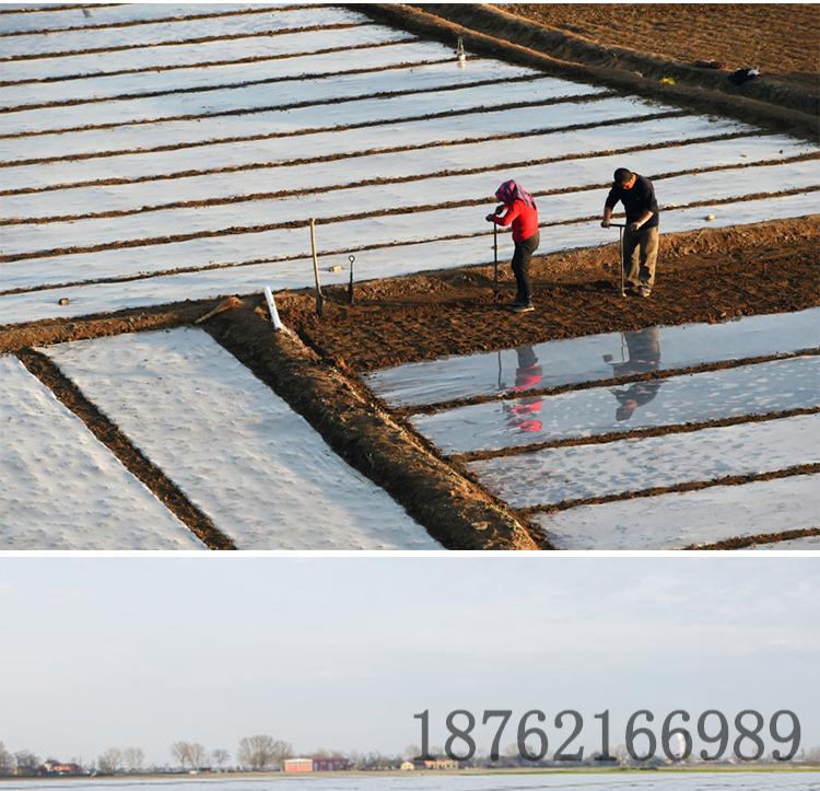 帝焱(diyan)农用白色地膜塑料薄膜育苗保温保湿蔬菜保护建筑公路大棚