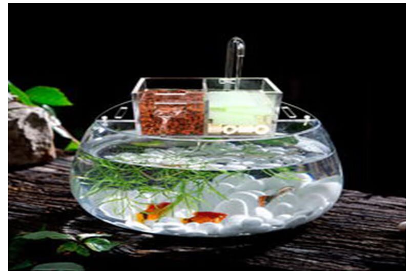 超高浓度高锰酸钾消毒液水族鱼池乌龟缸植物种籽动物内脏消毒100ml买