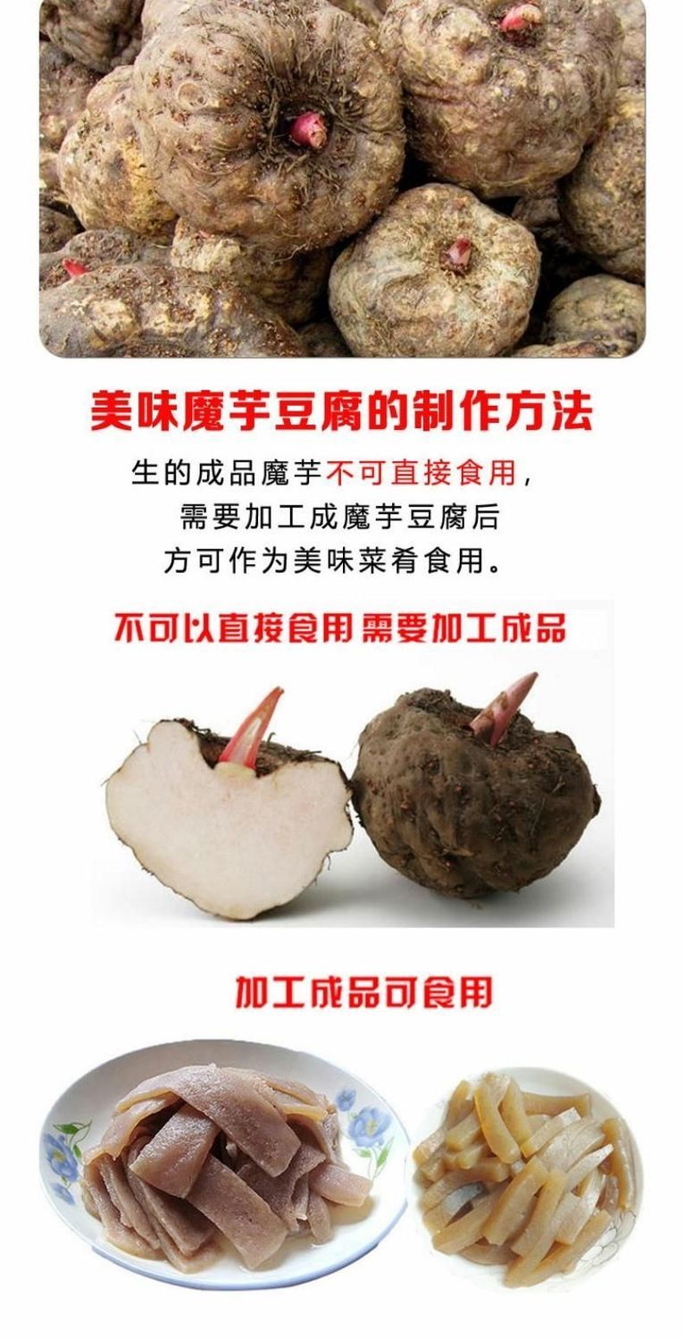 云南新鲜魔芋芋头现挖生魔芋正宗魔芋豆腐制作材料农家自种大魔芋 鲜