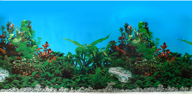 鱼缸背景图画纸高清图3d立体鱼缸装饰贴纸壁纸水族箱造景装饰贴画70高