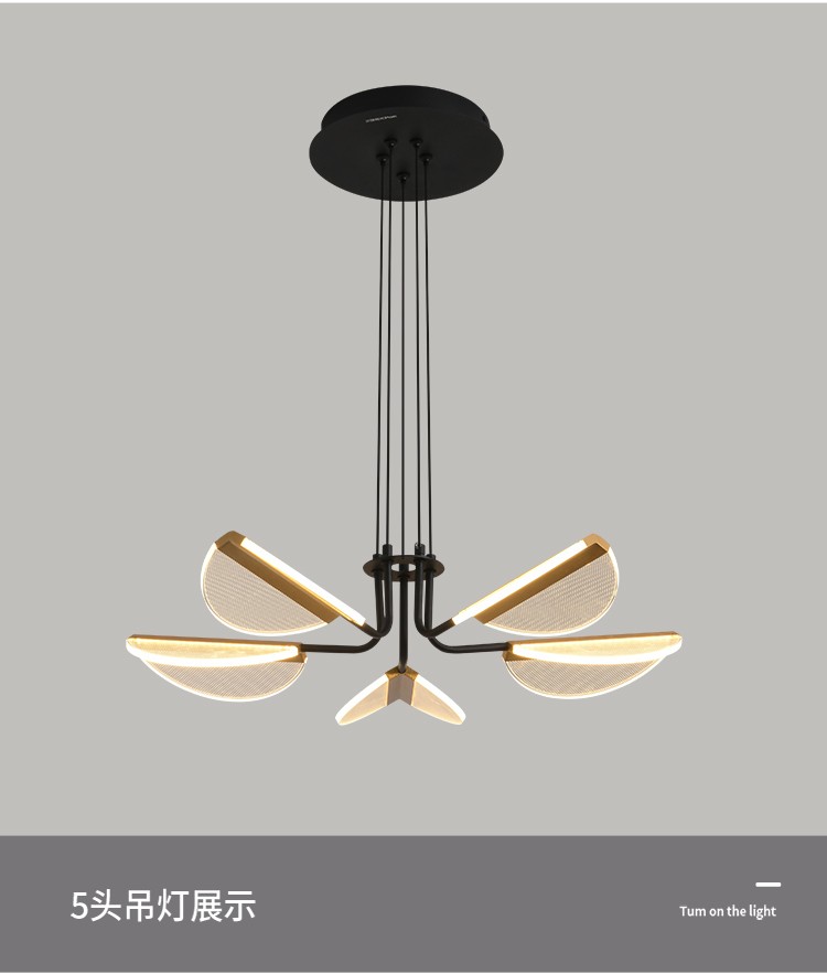 三雄极光 吸顶式吊灯北欧现代简约客厅灯具卧室餐厅大气吊灯灯饰 华叶