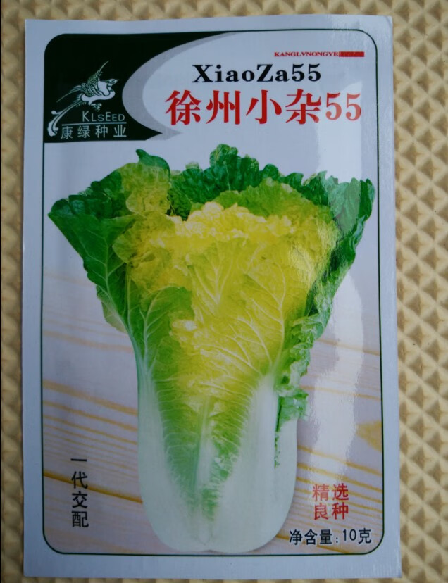 新种秋蔬菜种子鸡蛋黄大白菜种子黄心菜黄芽菜抗病快菜大白菜种子鸡蛋