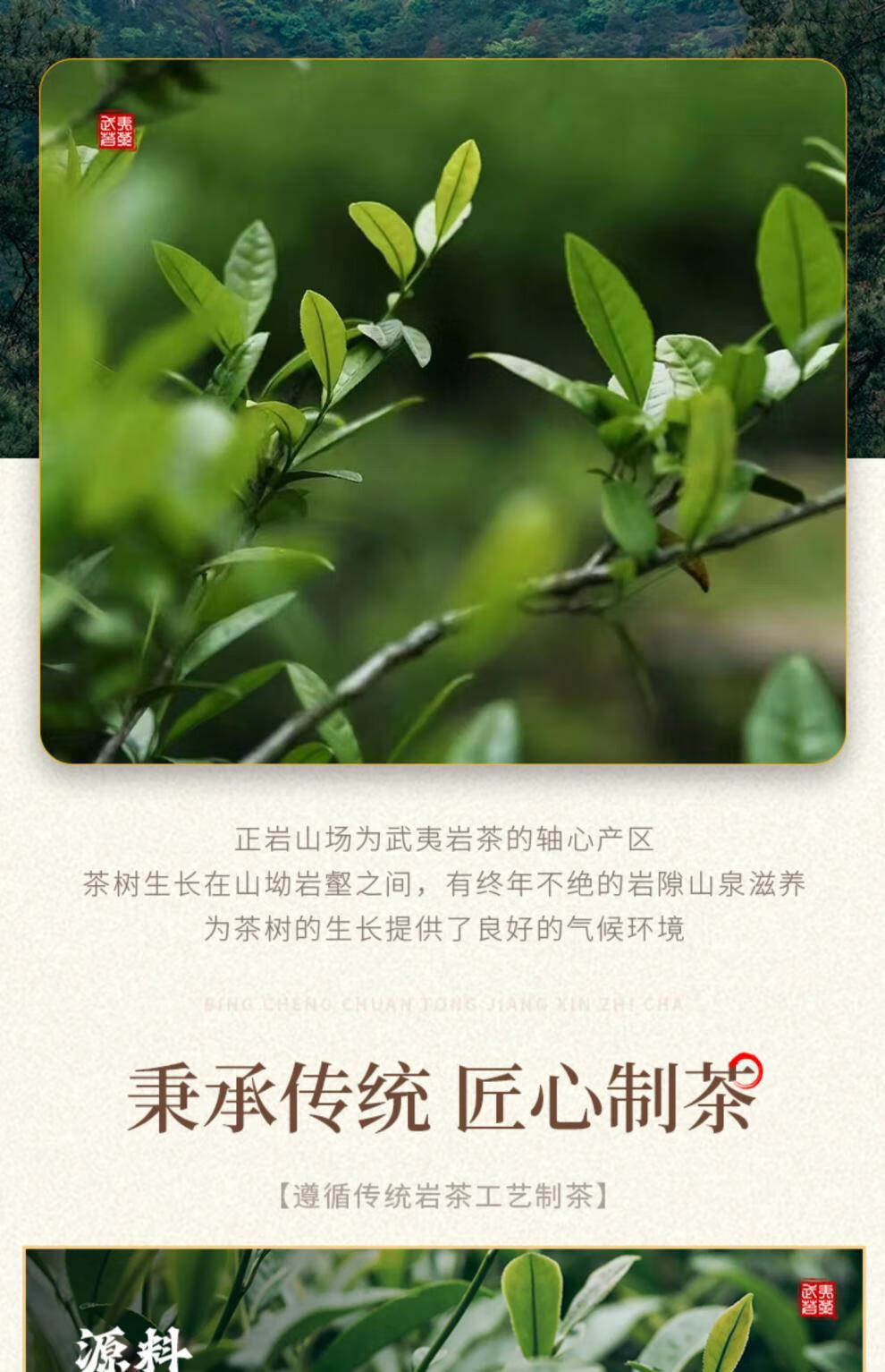 老枞水仙正岩肉桂岩茶组合60泡一斤茶叶小包装盒装502g