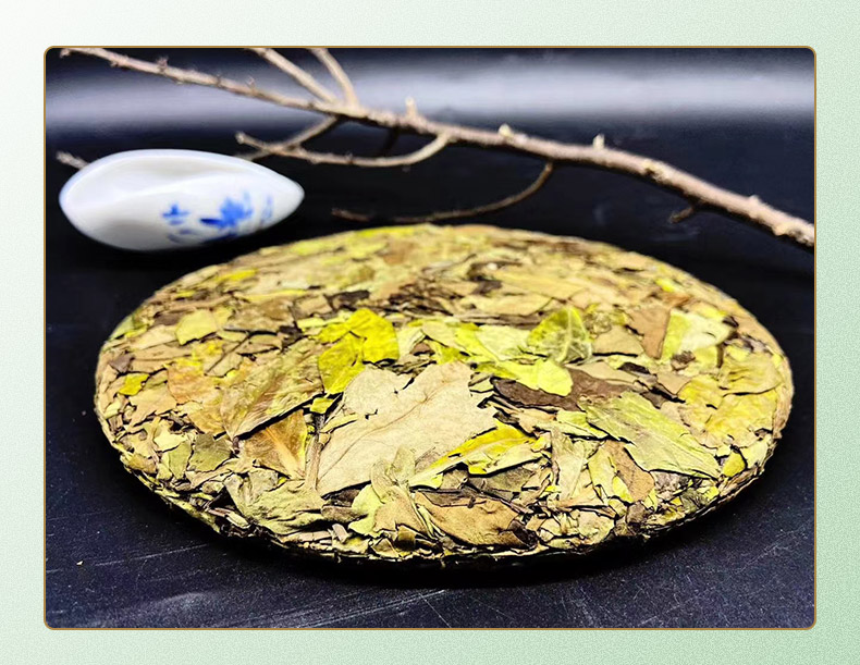 张天福有机白茶 张天福福寿眉清甜2021认证茶界泰斗寿眉200g松压饼