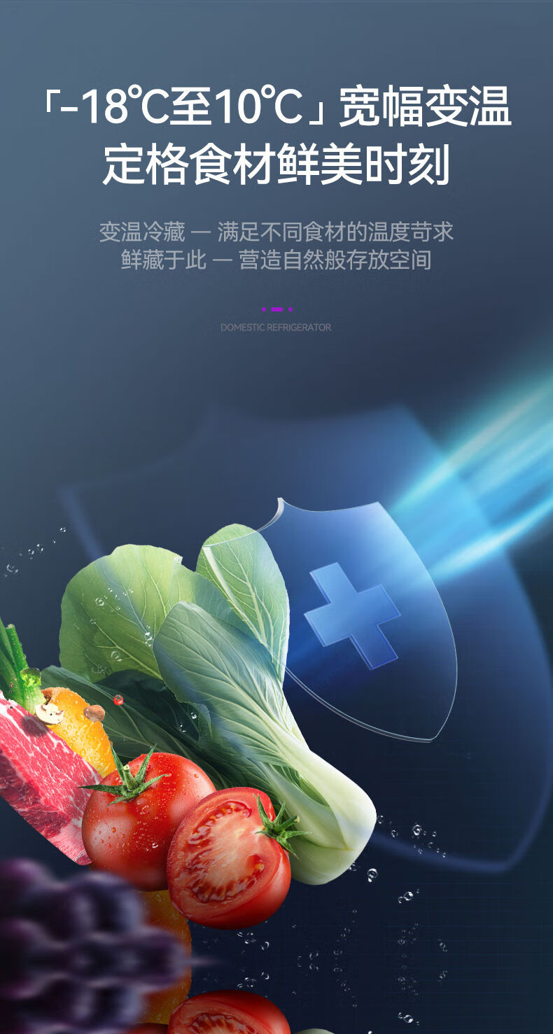 奇声冰箱一级能效家用双开门小型迷你冷藏冷冻宿舍出租房节能省电财领