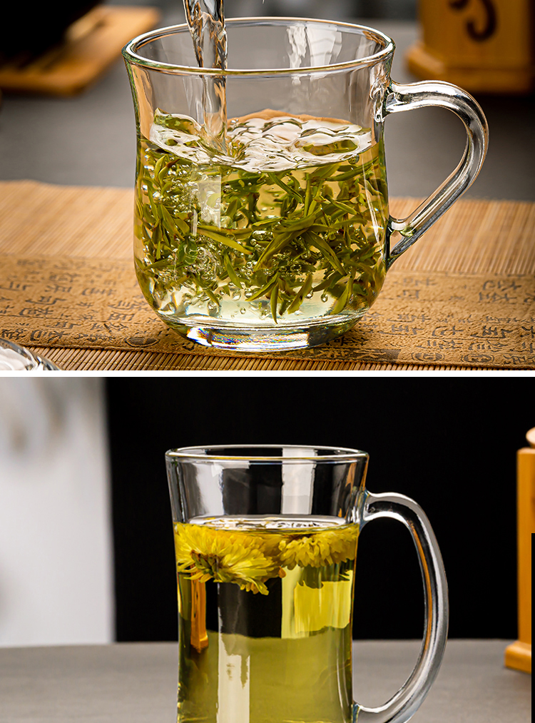 青苹果玻璃杯带把耐热玻璃茶水杯带盖茶饮杯加厚把手泡茶杯子办公家用