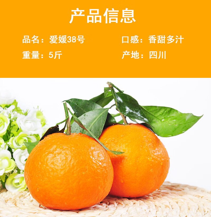 爱媛52号柑橘品种介绍图片