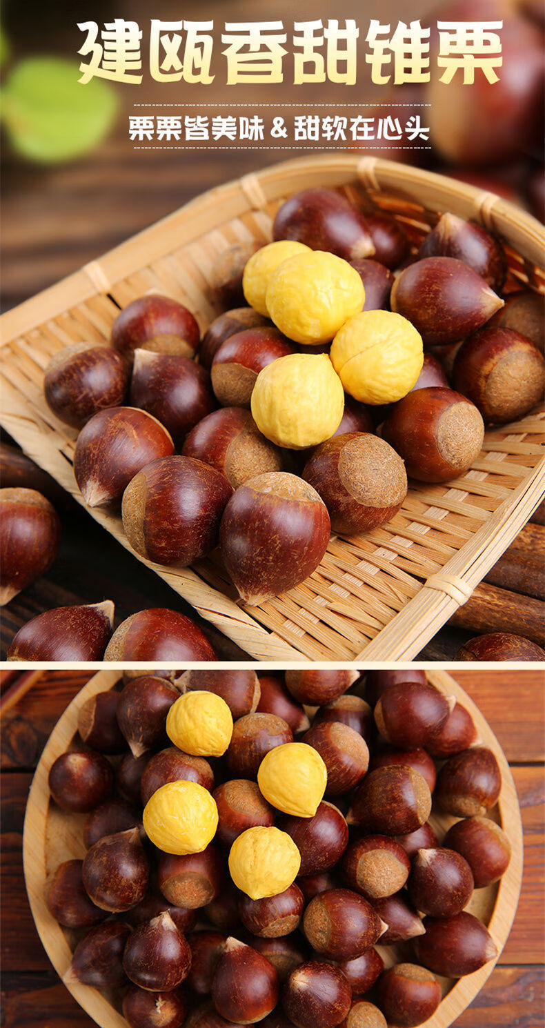 顺丰发货2021年福建建瓯板栗锥栗子新鲜5斤野生板栗现摘毛粟子带壳