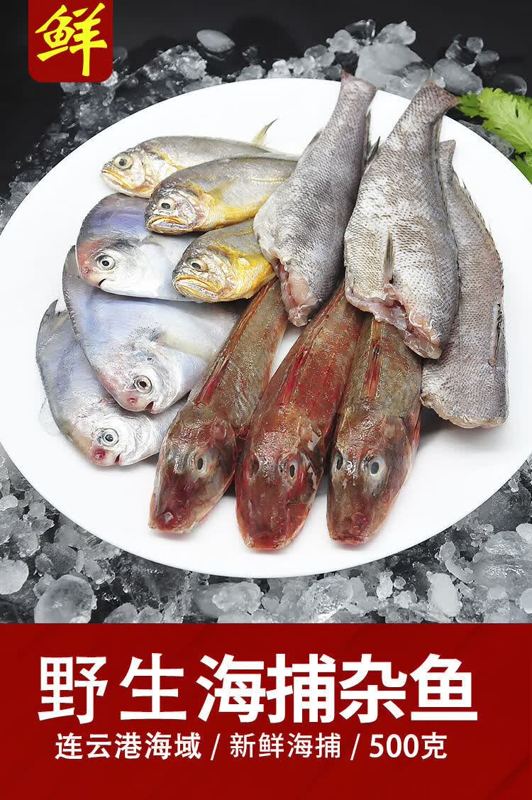 海杂鱼新鲜小黄鱼黄花鱼鲳鱼龙利鱼舌头鱼鳎目鱼红娘