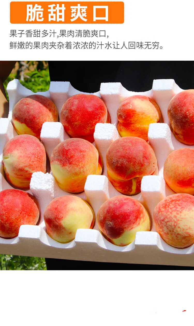 【中秋送礼】脆甜可剥皮秦安桃子新鲜北京九号礼盒装 秦安天水水蜜桃