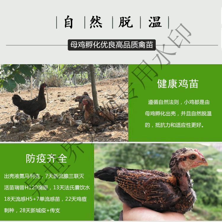 93a0130cc94604bb.jpg