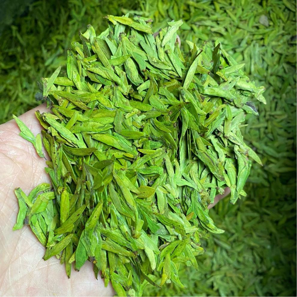 乌牛香茶浙江松阳乌牛早茶春茶2022年新茶半斤250g克乌牛茶丽水乌牛早