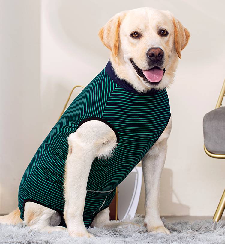 狗狗连体生理裤 大型犬连体生理裤母狗护肚防骚扰避孕卫生姨妈狗狗