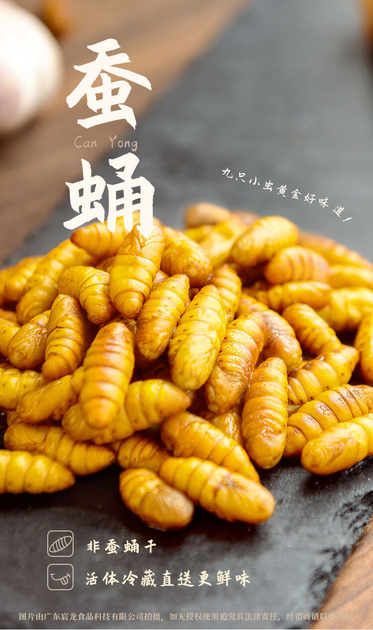 蚕蛹鲜活 金丝新鲜茧蛹生烧烤蝉蛹幼虫钓鱼山东商用小蚕蛹冷冻 蚕蛹8