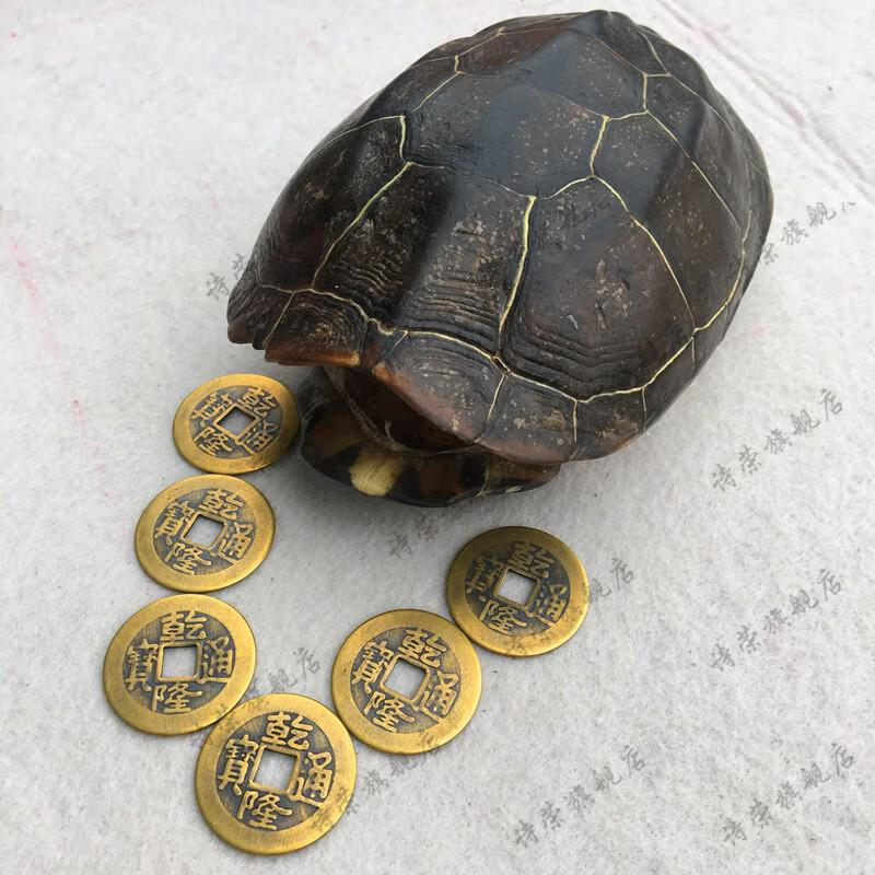 六爻卜卦工具 摇卦乌龟壳 乾隆帝铜钱 周易六十四卦